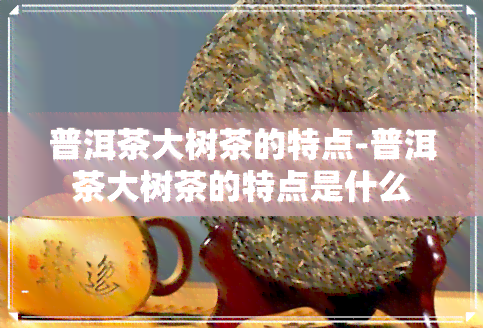 普洱茶大树茶的特点-普洱茶大树茶的特点是什么