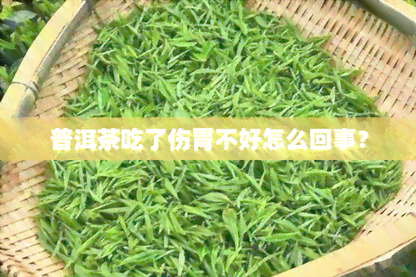 普洱茶吃了伤胃不好怎么回事？