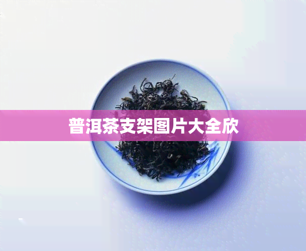 普洱茶支架图片大全欣