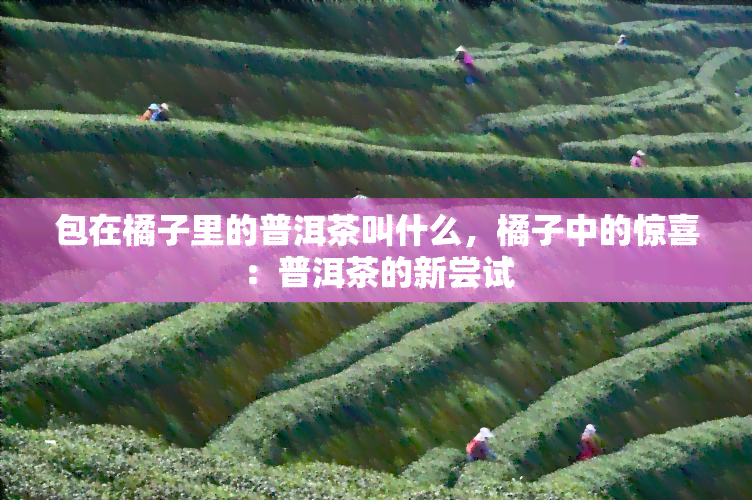 包在橘子里的普洱茶叫什么，橘子中的惊喜：普洱茶的新尝试