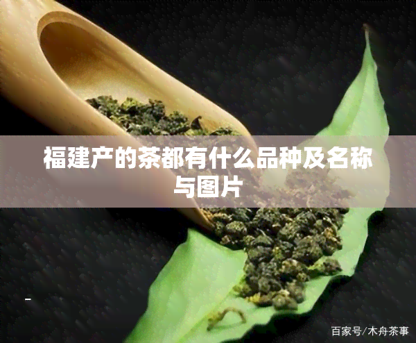 福建产的茶都有什么品种及名称与图片