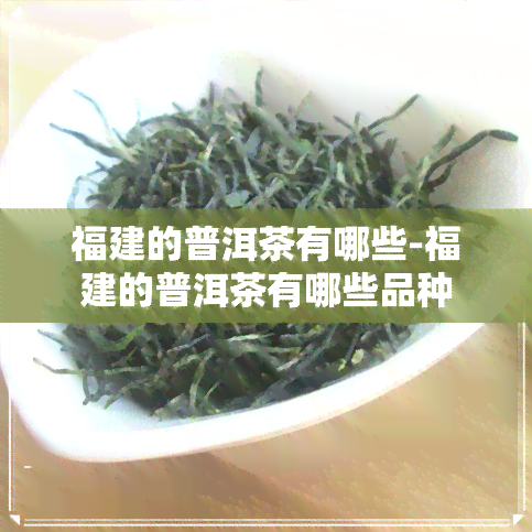 福建的普洱茶有哪些-福建的普洱茶有哪些品种