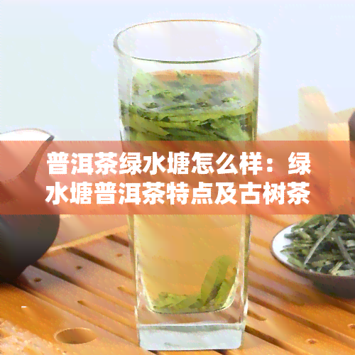 普洱茶绿水塘怎么样：绿水塘普洱茶特点及古树茶口感