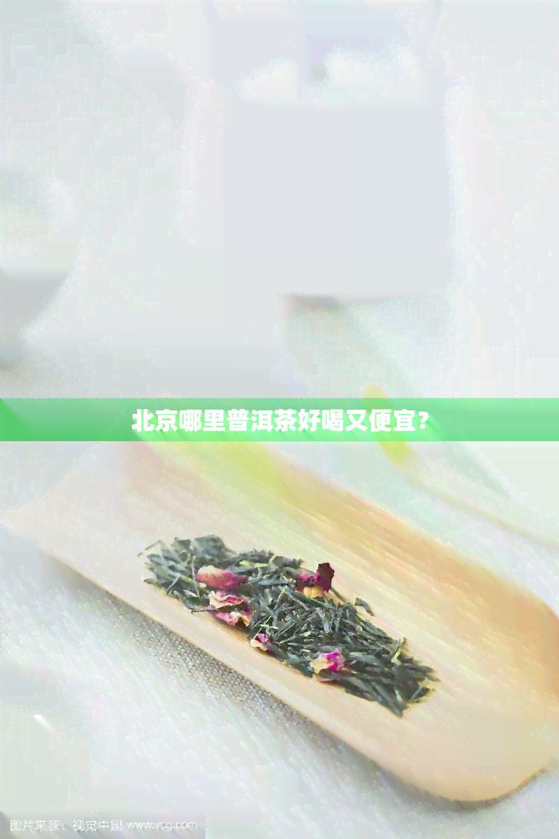 北京哪里普洱茶好喝又便宜？