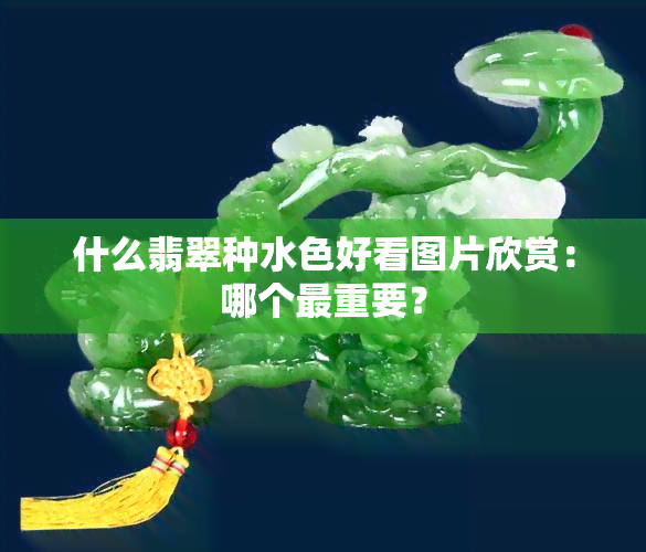 什么翡翠种水色好看图片欣赏：哪个最重要？