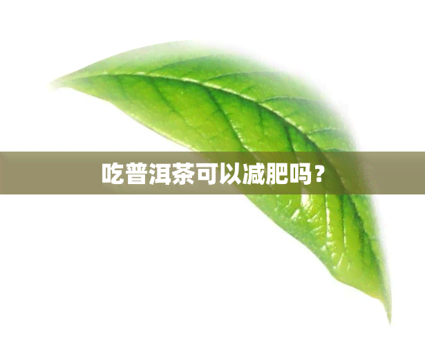 吃普洱茶可以减肥吗？