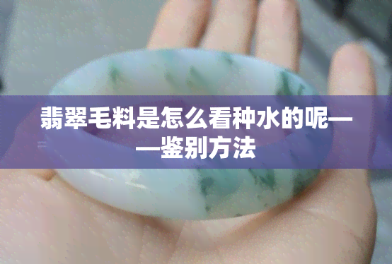 翡翠毛料是怎么看种水的呢——鉴别方法