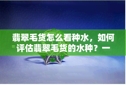 翡翠毛货怎么看种水，如何评估翡翠毛货的水种？一探究竟