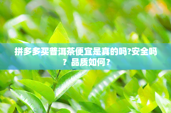 拼多多买普洱茶便宜是真的吗?安全吗？品质如何？