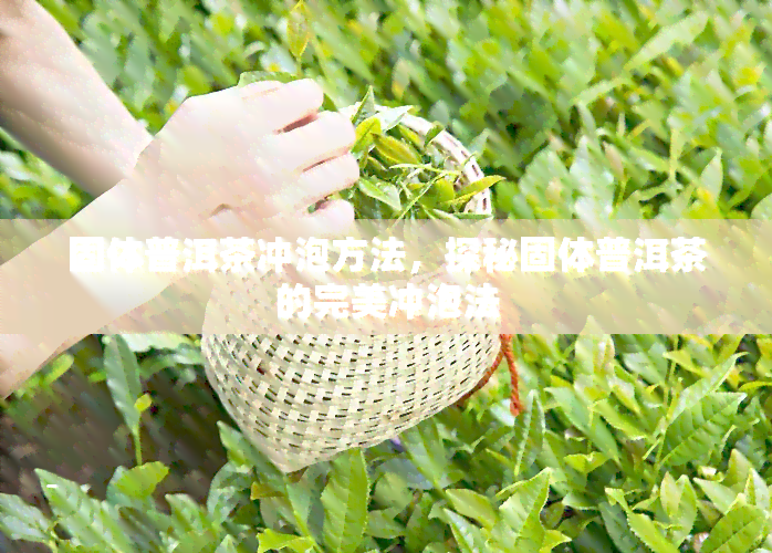 固体普洱茶冲泡方法，探秘固体普洱茶的完美冲泡法