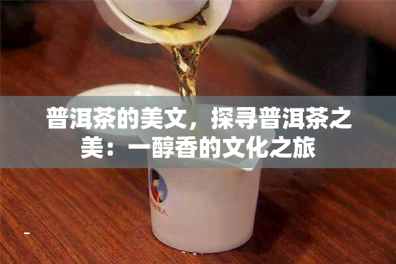 普洱茶的美文，探寻普洱茶之美：一醇香的文化之旅