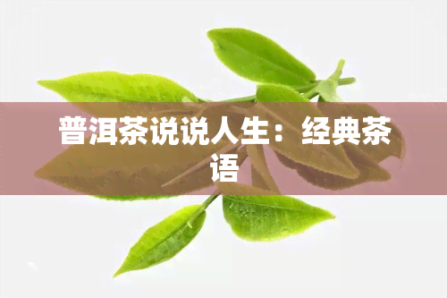 普洱茶说说人生：经典茶语