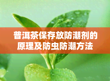 普洱茶保存放防潮剂的原理及防虫防潮方法