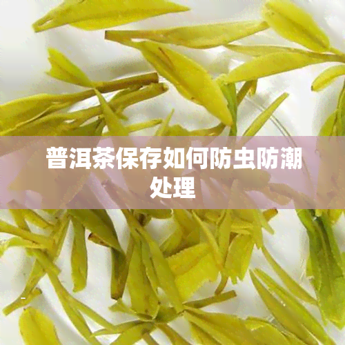 普洱茶保存如何防虫防潮处理