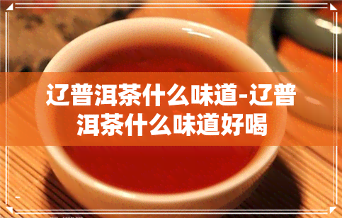 辽普洱茶什么味道-辽普洱茶什么味道好喝