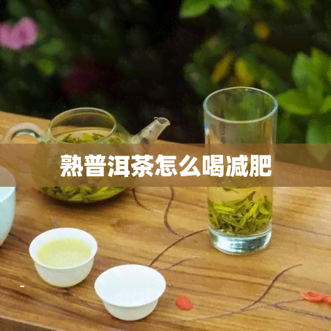 熟普洱茶怎么喝减肥