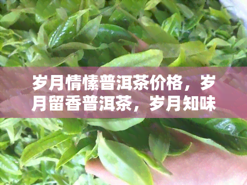 岁月情愫普洱茶价格，岁月留香普洱茶，岁月知味普洱茶