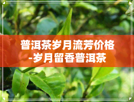 普洱茶岁月流芳价格-岁月留香普洱茶