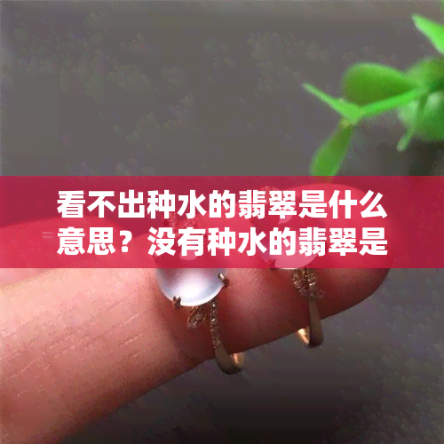 看不出种水的翡翠是什么意思？没有种水的翡翠是什么样子的？