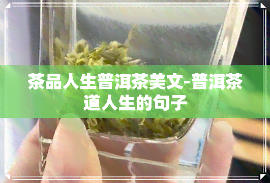 茶品人生普洱茶美文-普洱茶道人生的句子