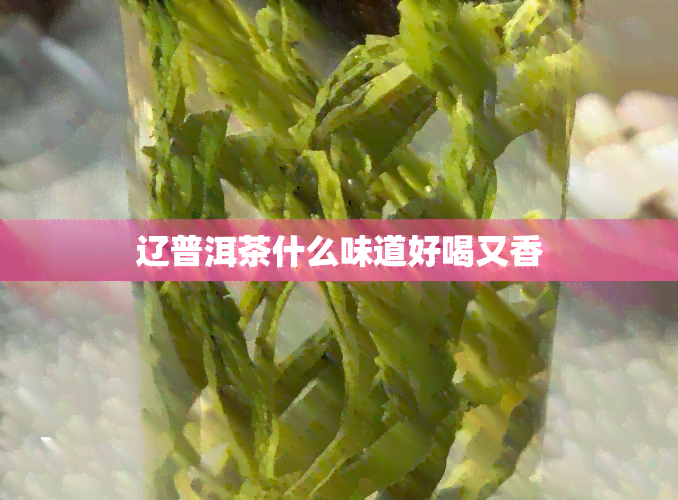 辽普洱茶什么味道好喝又香