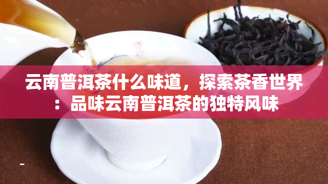 云南普洱茶什么味道，探索茶香世界：品味云南普洱茶的独特风味