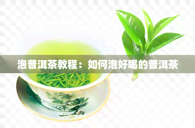 泡普洱茶教程：如何泡好喝的普洱茶