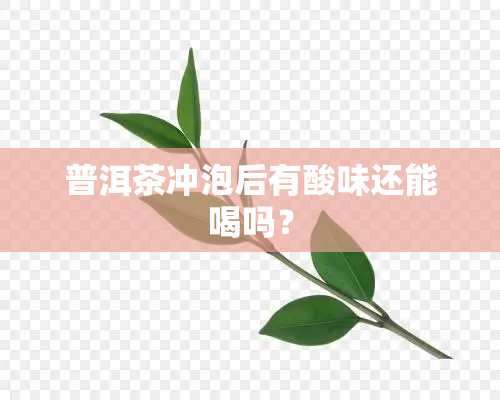 普洱茶冲泡后有酸味还能喝吗？