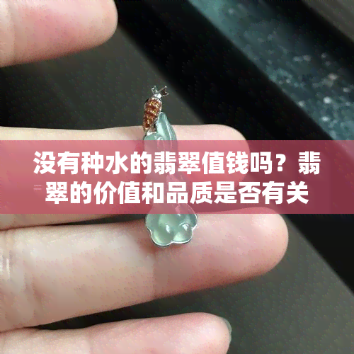 没有种水的翡翠值钱吗？翡翠的价值和品质是否有关？