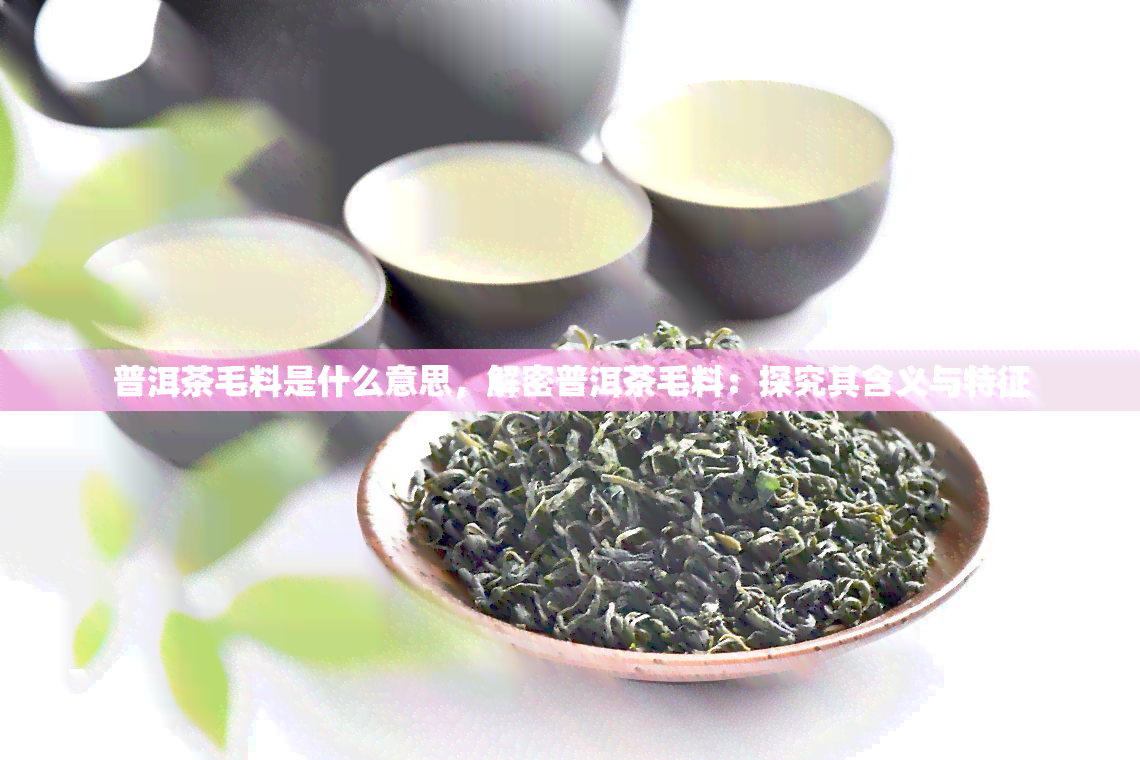 普洱茶毛料是什么意思，解密普洱茶毛料：探究其含义与特征