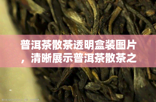 普洱茶散茶透明盒装图片，清晰展示普洱茶散茶之美：透明盒装图片一览