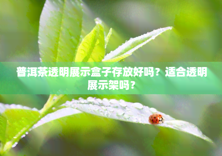 普洱茶透明展示盒子存放好吗？适合透明展示架吗？