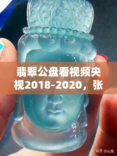 翡翠公盘看视频央视2018-2020，张中尧小志