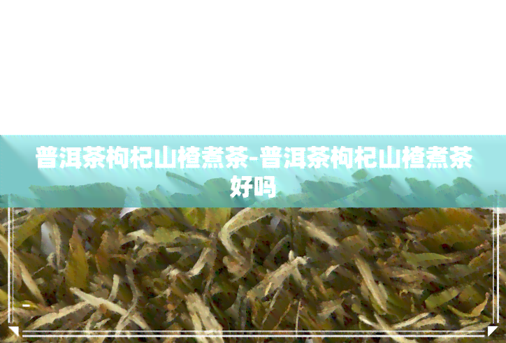 普洱茶枸杞山楂煮茶-普洱茶枸杞山楂煮茶好吗