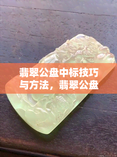 翡翠公盘中标技巧与方法，翡翠公盘的标价怎么看