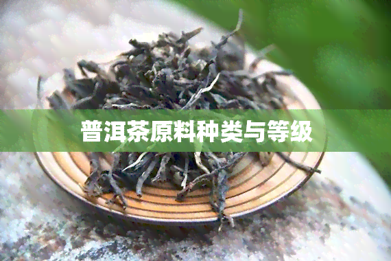 普洱茶原料种类与等级