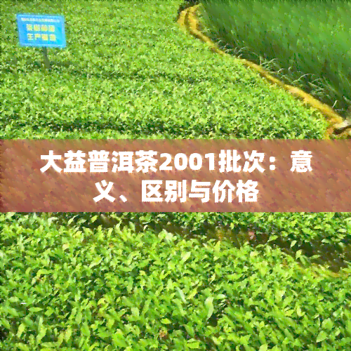 大益普洱茶2001批次：意义、区别与价格