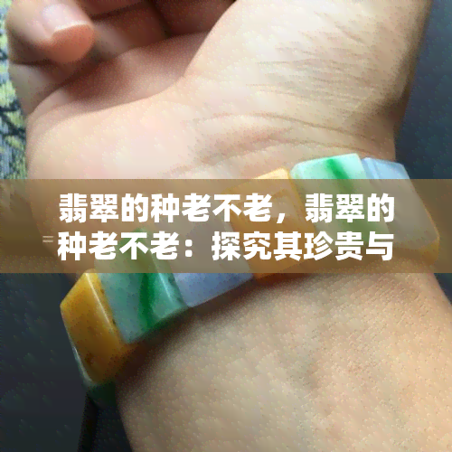 翡翠的种老不老，翡翠的种老不老：探究其珍贵与永恒