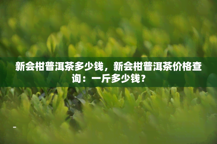 新会柑普洱茶多少钱，新会柑普洱茶价格查询：一斤多少钱？