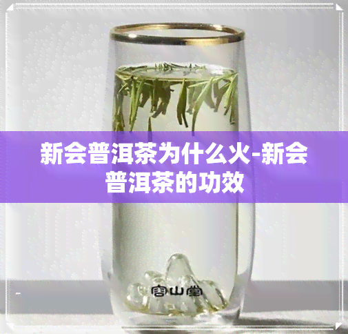 新会普洱茶为什么火-新会普洱茶的功效