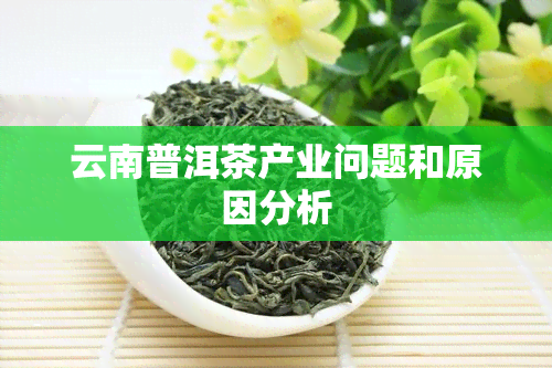 云南普洱茶产业问题和原因分析