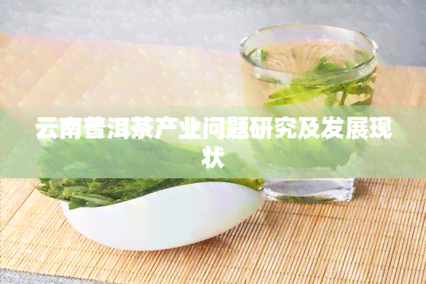 云南普洱茶产业问题研究及发展现状