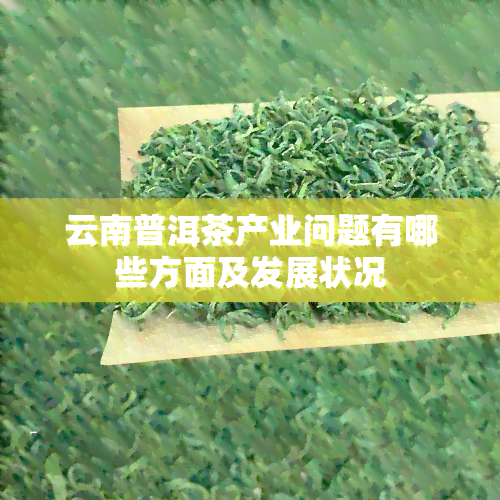 云南普洱茶产业问题有哪些方面及发展状况