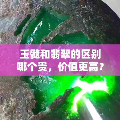 玉髓和翡翠的区别哪个贵，价值更高？-玉髓和翡翠的区别哪个贵,价值更高一些