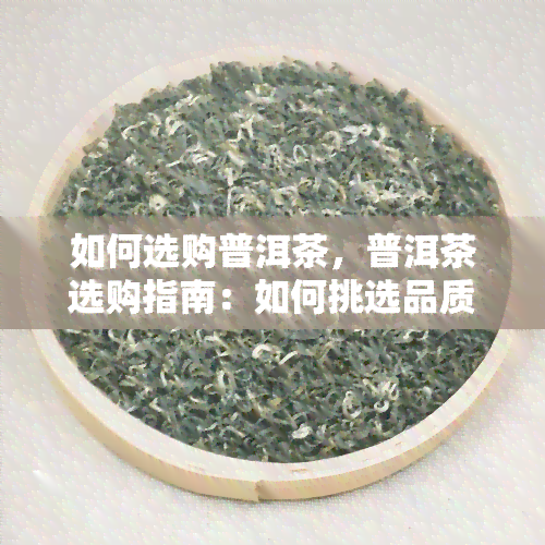 如何选购普洱茶，普洱茶选购指南：如何挑选品质？