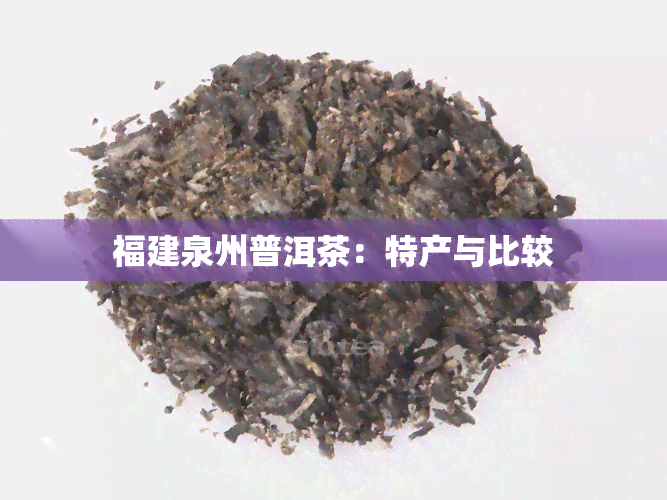 福建泉州普洱茶：特产与比较