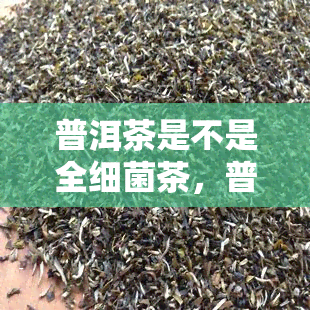 普洱茶是不是全细菌茶，普洱茶里的细菌是什么