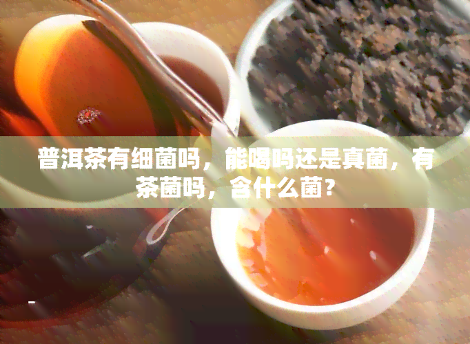 普洱茶有细菌吗，能喝吗还是真菌，有茶菌吗，含什么菌？