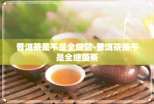 普洱茶是不是全细菌-普洱茶是不是全细菌茶