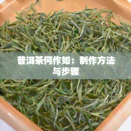 普洱茶何作如：制作方法与步骤